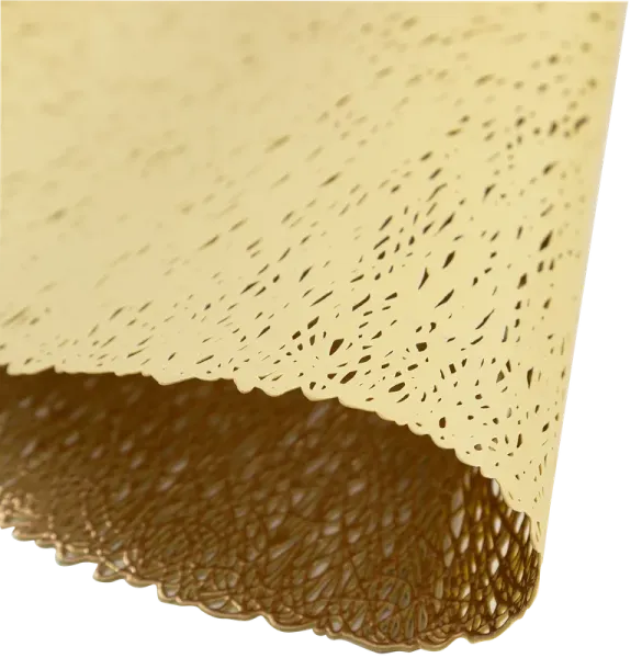 Defender Home - Набор салфеток сервировочных Gloss